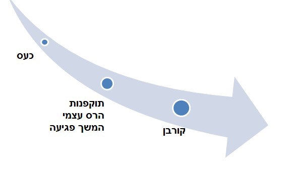 השפעות הכעס